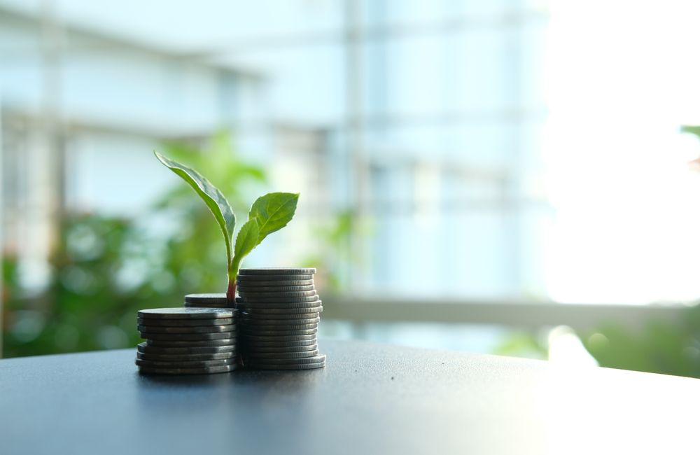 Green plant beside stacks of coins.